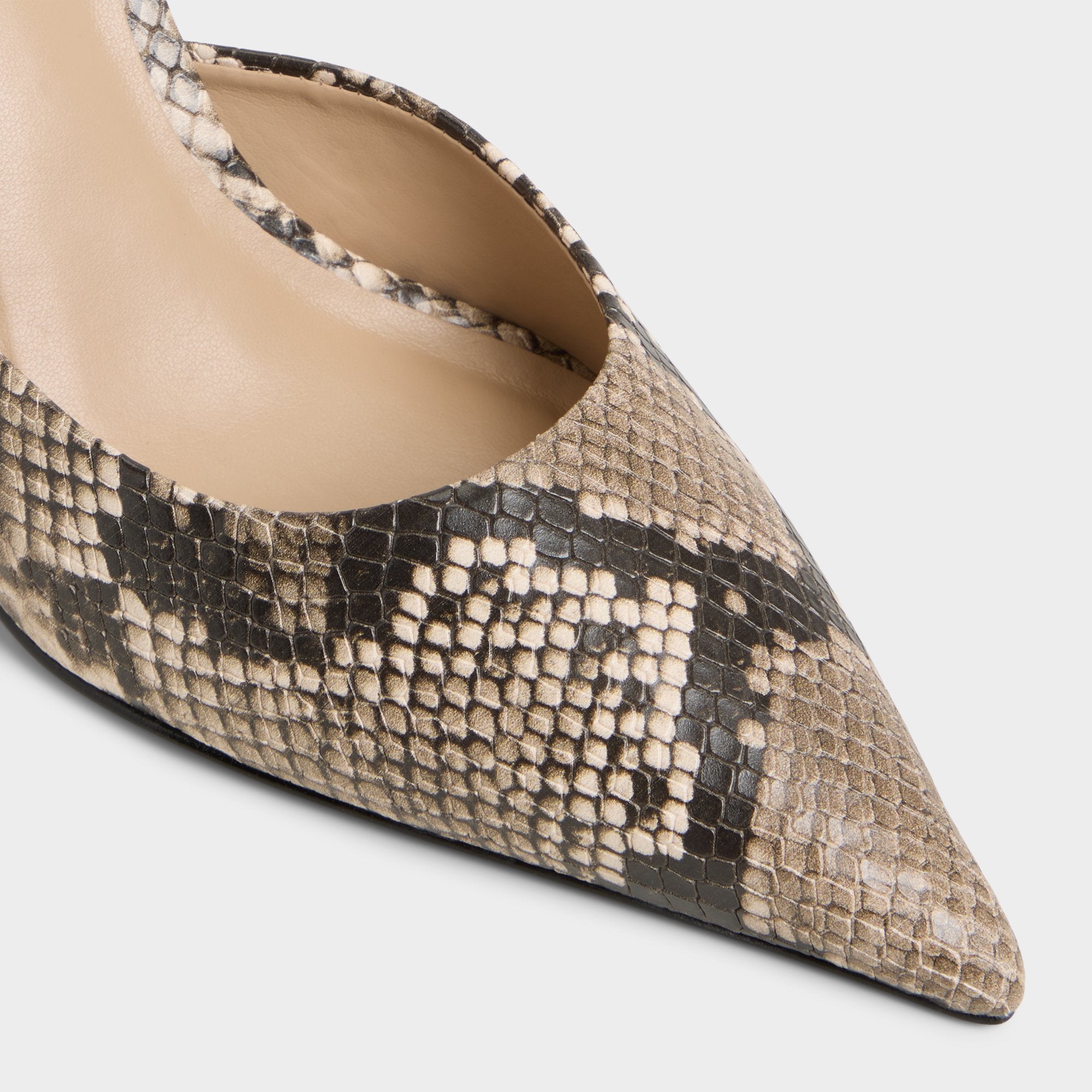 Beatrixy Python Women's Heeled mules - Heeled mule, Stiletto heel