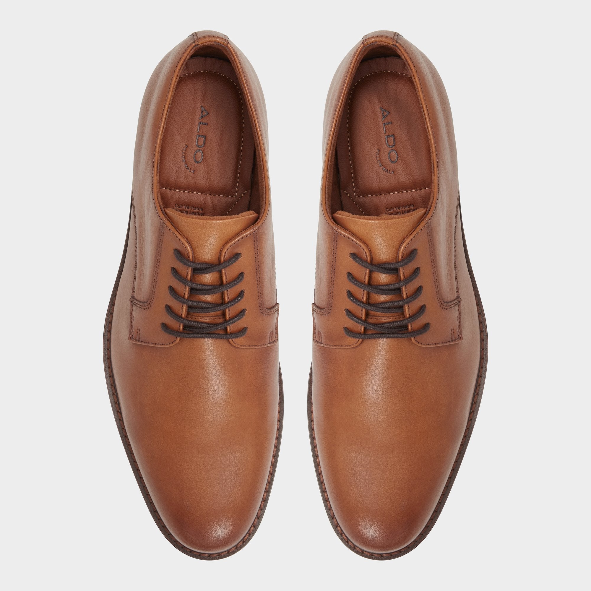 Hanfordd Cognac Men's Oxfords & Lace-ups - Oxford shoe